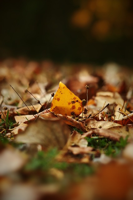 土耳其足协：穆里尼奥的不当行为和侮辱性言论违反纪律条例.