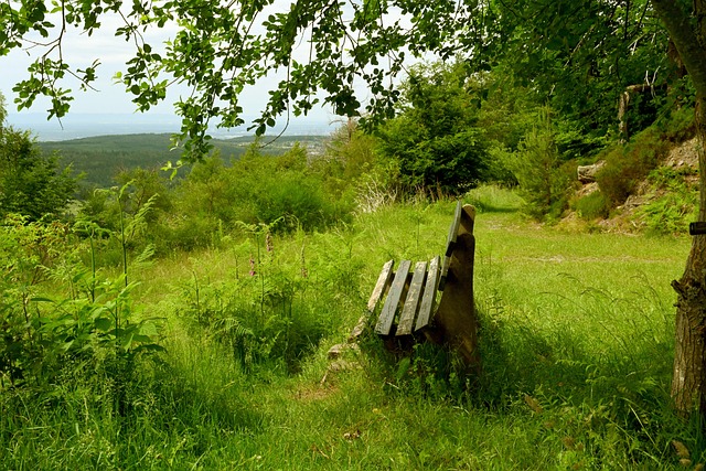 “愿体育伴大家健康成长”体育湘军打卡长郡自贸临空高级中学体育馆.